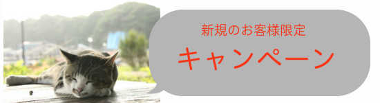 高円寺の美容室envieキャンペーン